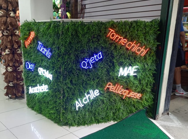 Letras Corpóreas